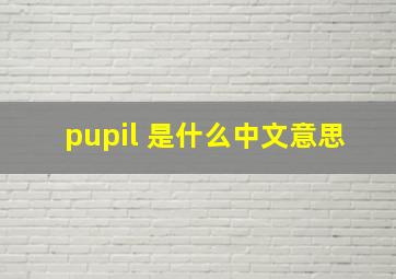 pupil 是什么中文意思